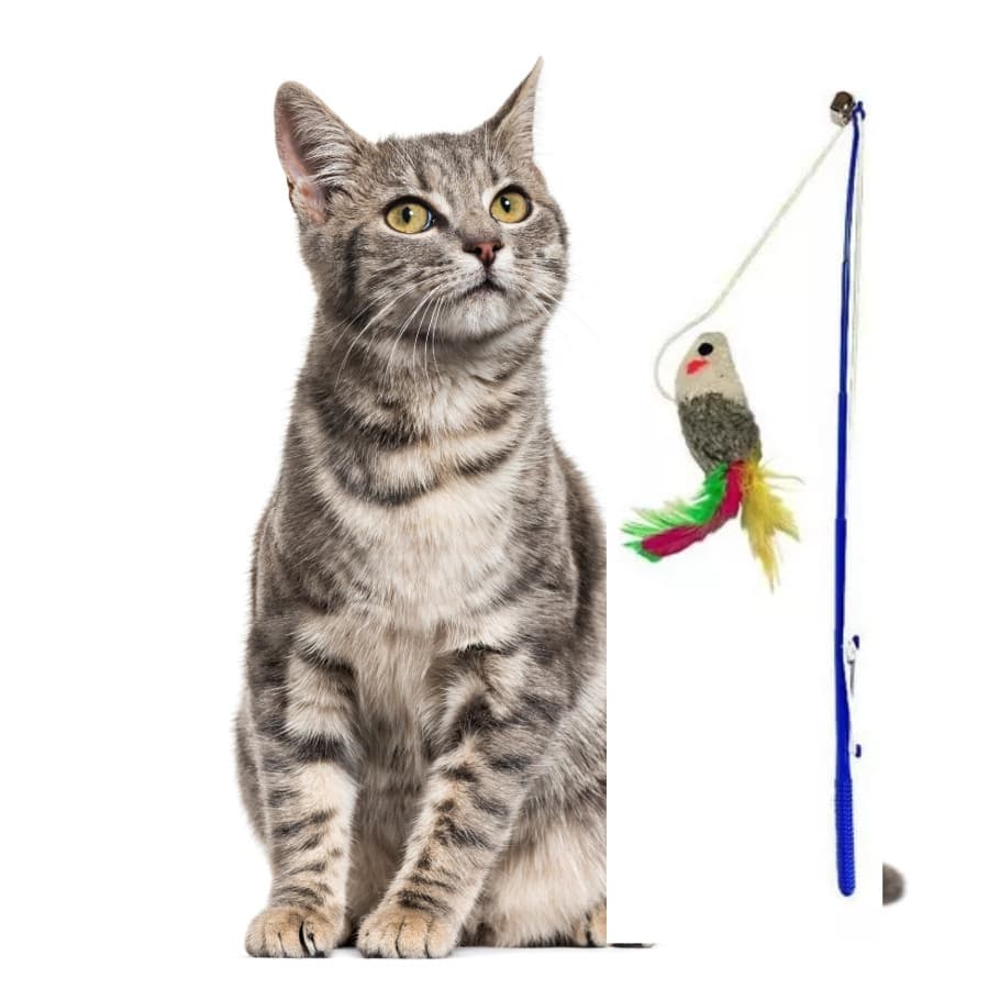 Brinquedo Gato Varinha Vara Para Gato Napi Ratinho E Guizo interativo brincadeira divertida