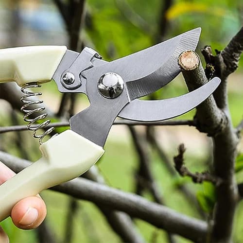 Tesoura De Poda Plantas Ornamentais Bonsai Árvores Irrigação