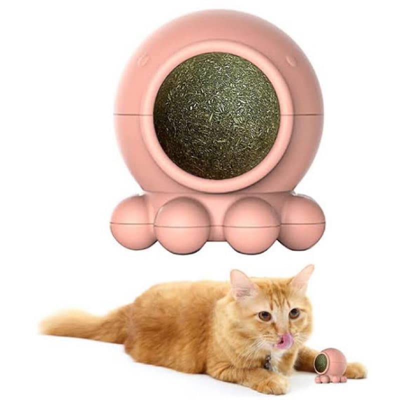 Brinquedos para Gatos Euricat Polvo Catnip Erva de Gato PetFortes