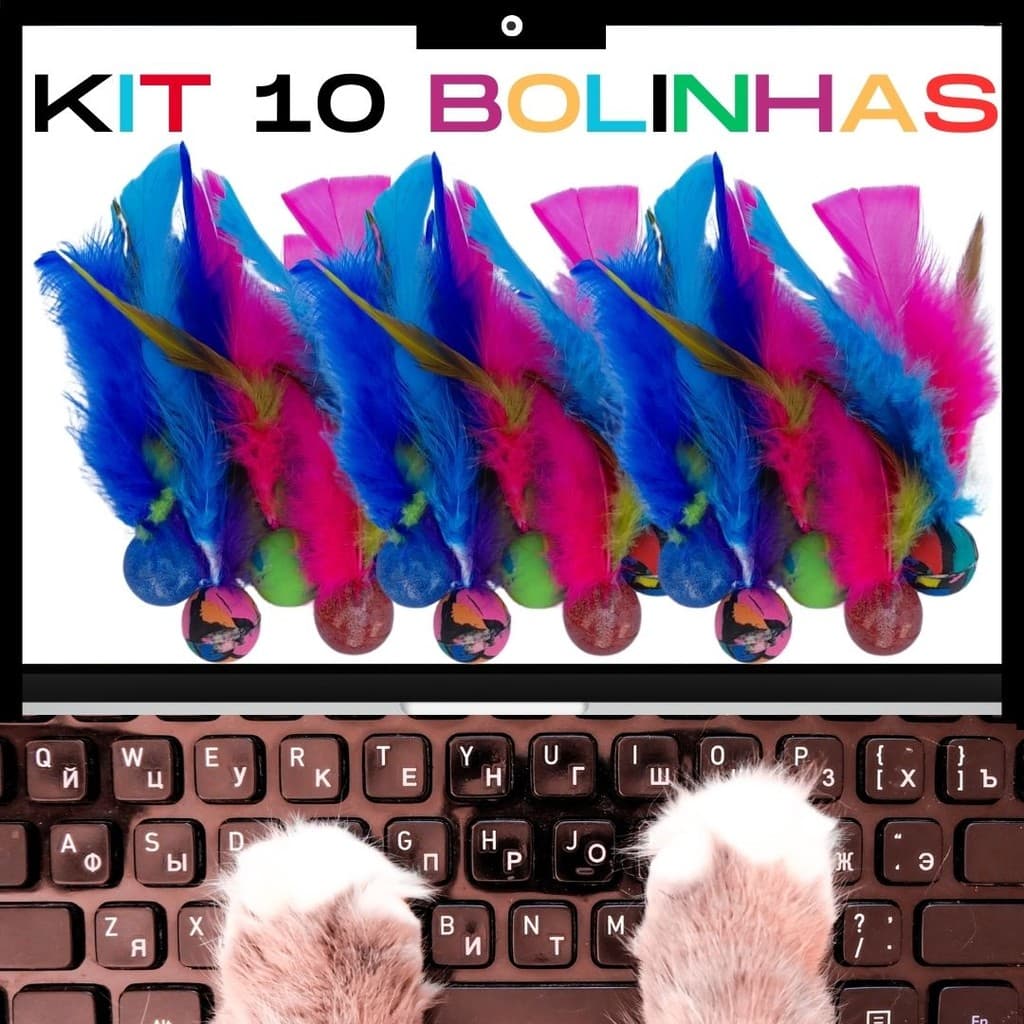 Brinquedo pet 10 bolinha Ping Pula Pula com pena para gato  10 unid b10h