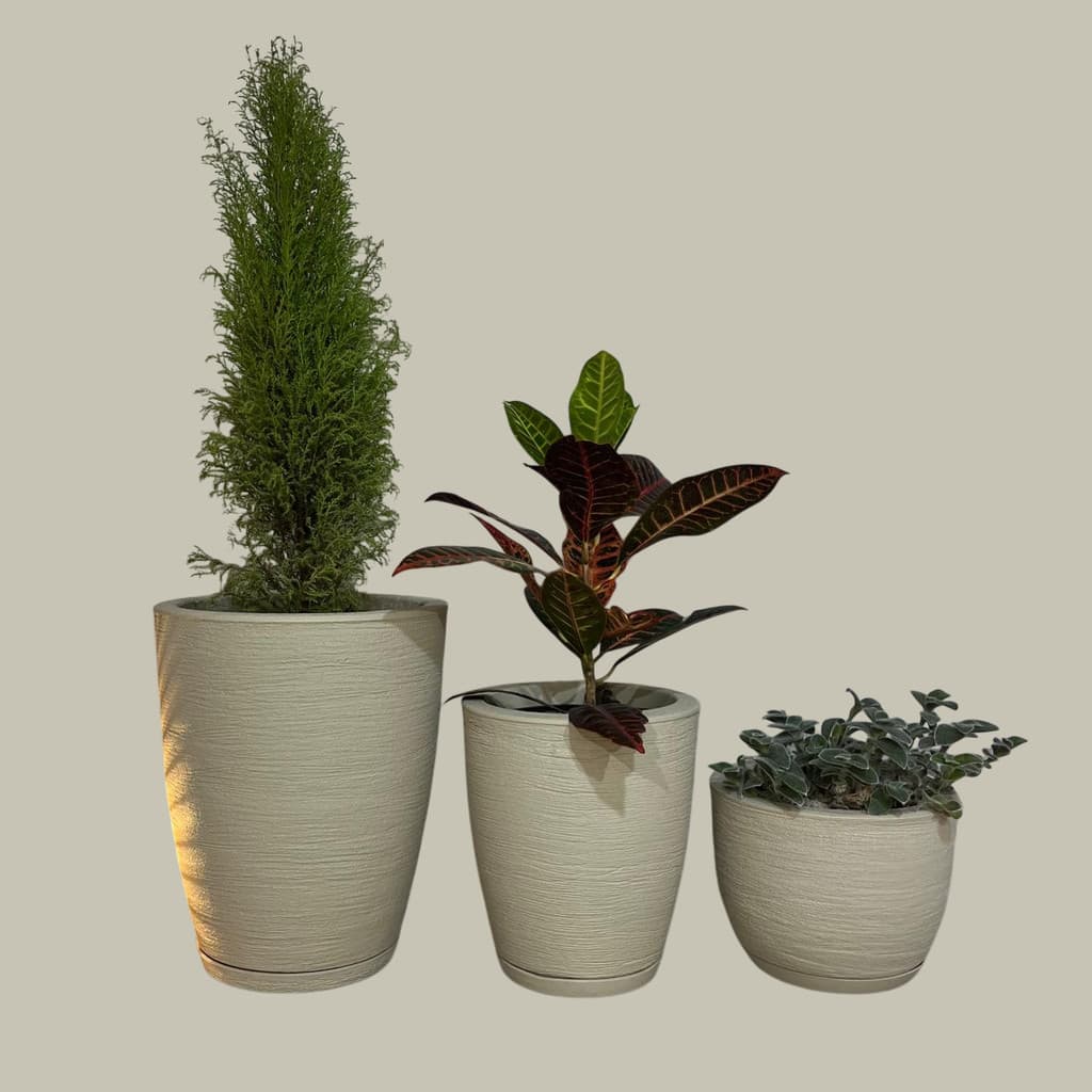 Kit 3 Vasos de Polietileno Para Plantas ou Flores, Coluna Redonda Escovada N1,N2 e Bojo Escovado N1 (Com Pratos)