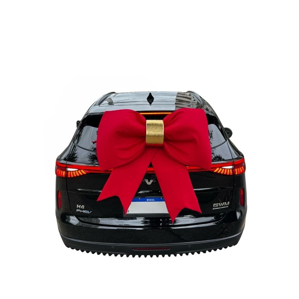 Laço Gigante Carro Moto Fachada Oxford Vermelho Estruturado