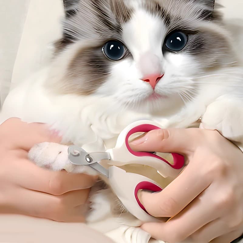 ortador De Unhas Alicate Com Furo Para Gato Corte Preciso Evita Sangramento Aço Inoxidável Tesoura LR-0217