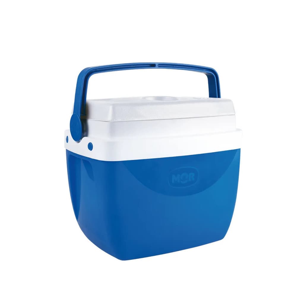 Caixa Térmica 12 Litros Com Alça Cooler Para Bebidas e Lanches