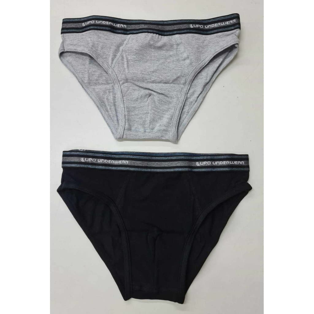 Kit 2 Cuecas Slip Algodão Adulto Lupo 524-088