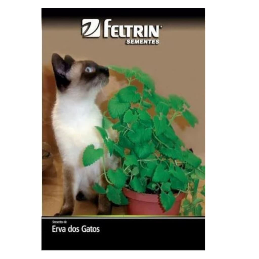 Sementes Erva De Gatos Catnip