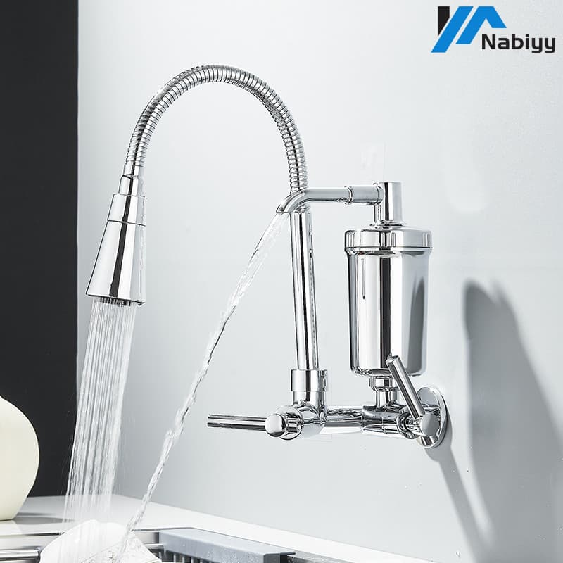 Gourmet Kitchen Wall-Mounted Faucet with Flexible Spray Filter and Double Handles