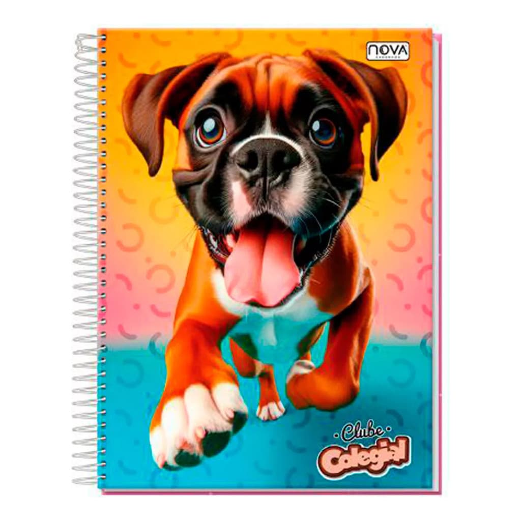Caderno Feminino 15 Matérias Pet Capa Dura Escolar Promoção