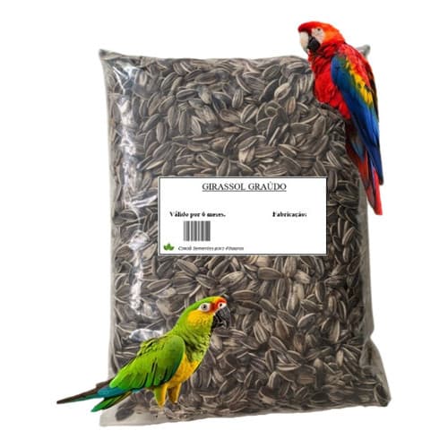 Semente 5 Kg Girassol Grande Pássaros Papagaio Limpa Graudo