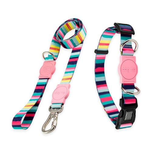 Guia e Coleira para Cachorros Dog Trip Kit - Diversas Cores