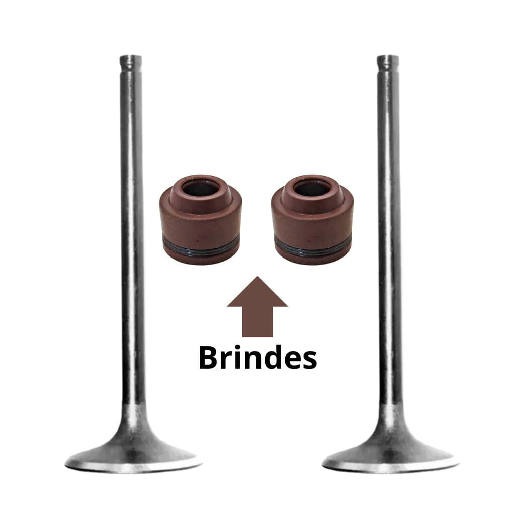 Kit Valvulas de Admissão e Escape Honda Biz 125 Metal Leve