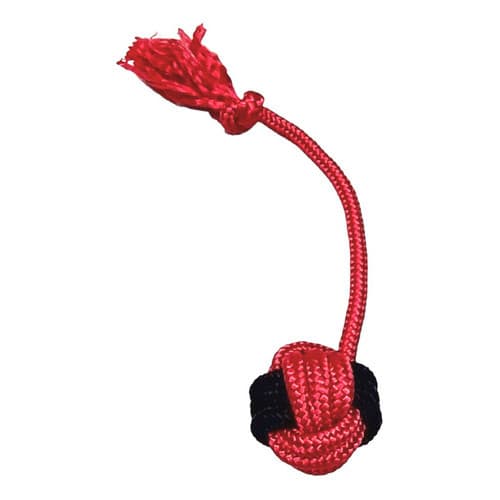 Brinquedo Pet Mordedor Bola Corda Interativo Gato Cachorro