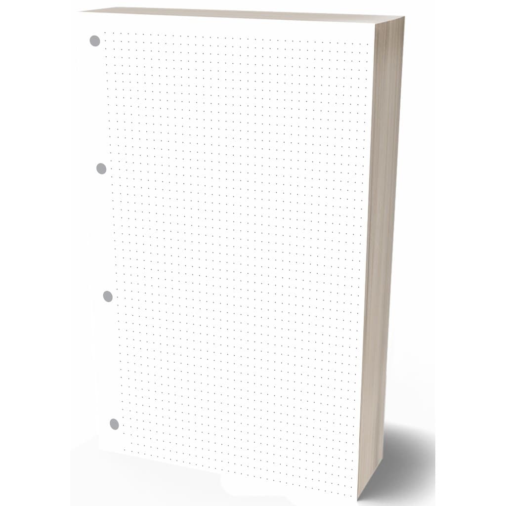 Refil Argolado 90g 80 Folhas Pontilhado Caderno Fichario