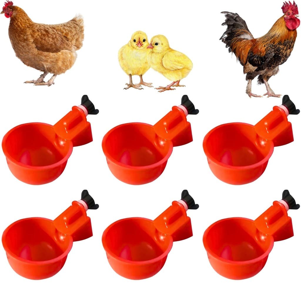 Kit 6 Bebedouro Automático Copinho para Aves Galinha Fazenda Gaiola Copo Bebedor
