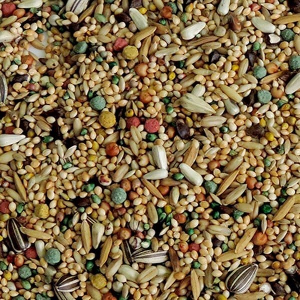 Mistura de calopsita, periquito, agapornis -  1 kg