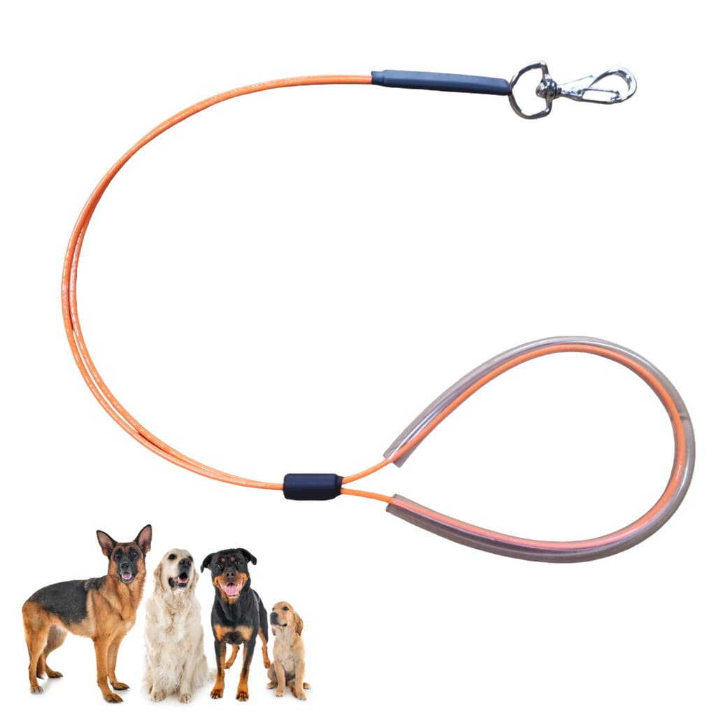 Guia Pet de Contenção Laranja 70cm Banho e Tosa Veterinario Pet Shop Groomer - Caes e Gatos