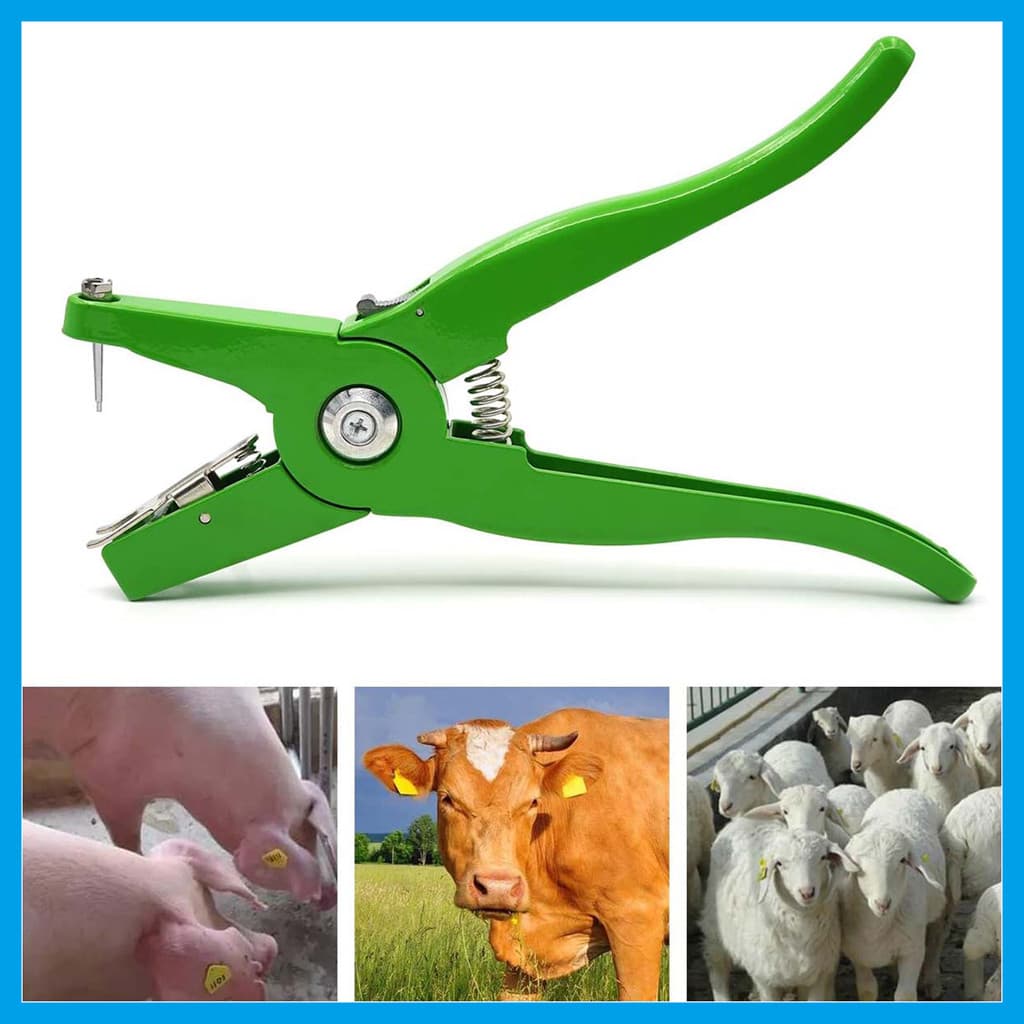 Alicate instalador de etiqueta Auricular universal verde para suínos, bovinos e ovinos, Alicate para brincos de orelha