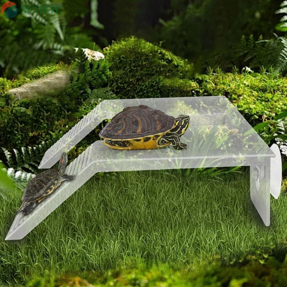 Plataforma SCOFIE Turtle Basking , Verde Com Ventosa De Escalada De Tartaruga , Plástico