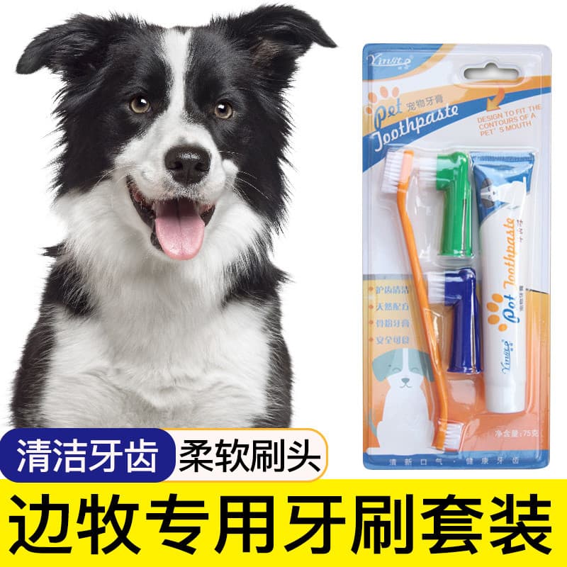 Boral escova de dentes para animais de estimação conjunto de pasta de dente escovação suprimentos de limpeza ferramentas