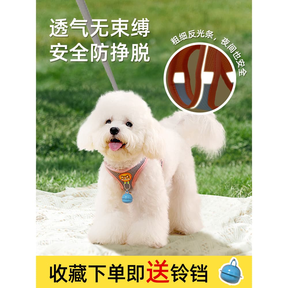 Coleira para cães pequenos, coleira para cães de pelúcia, pomerânia, Bichon, cachorro, coleira para animais de estimação