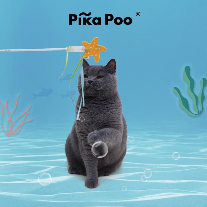 QZee PIKA POO gato provocando vara brinquedo do gato suprimentos para animais de estimação gato provocando brinquedo bri
