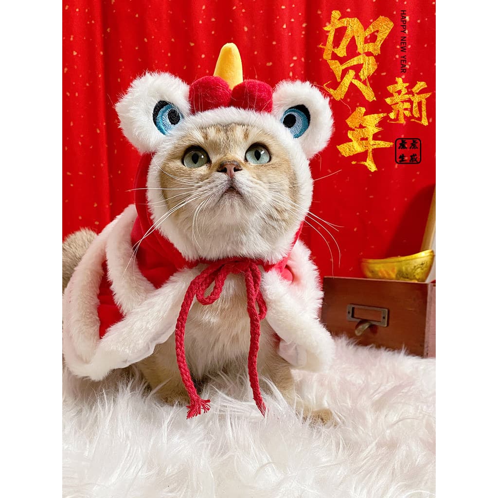 Papa Meow ~ ano novo festivo forro de lã leão dança manto Pet gato roupas cão ano novo vestir chapéu