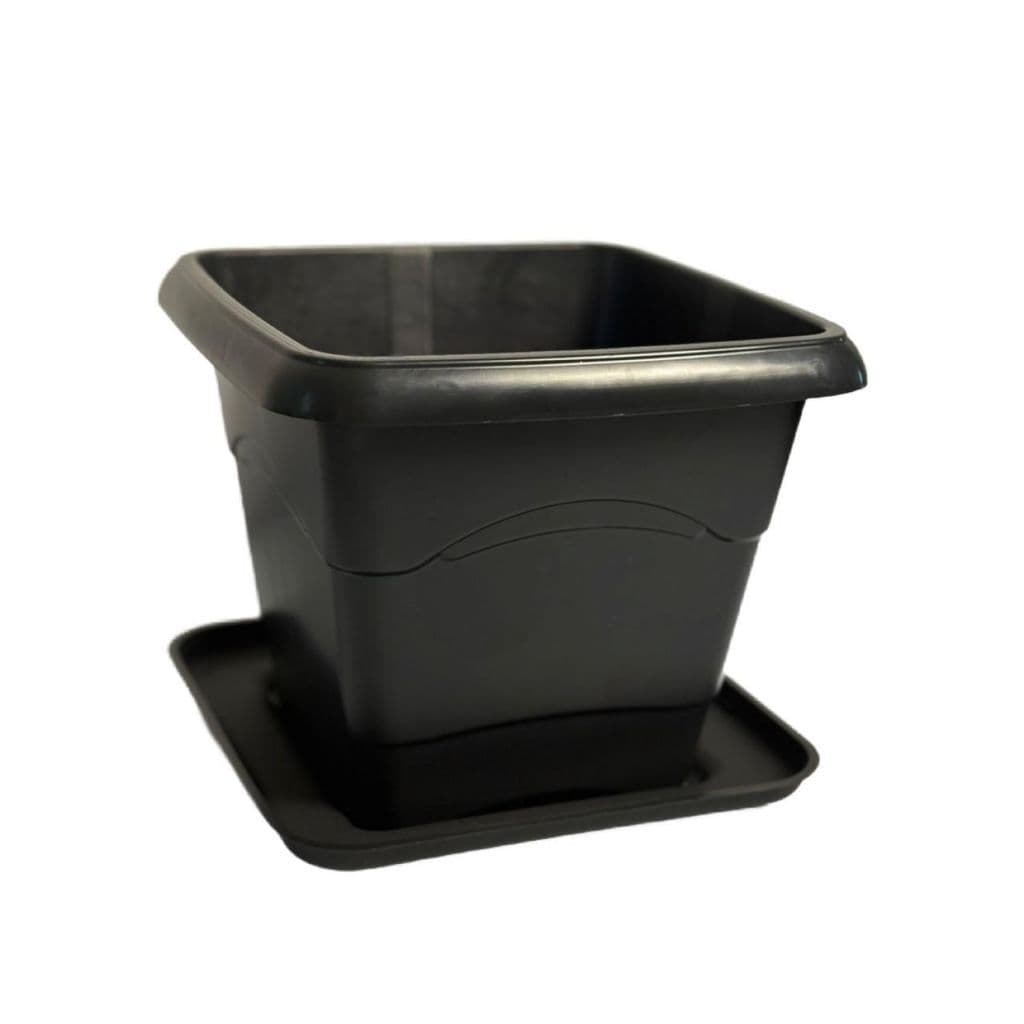 KIT COM 12 VASOS QUADRADOS 5,5L PRETOS COM OU SEM PRATO