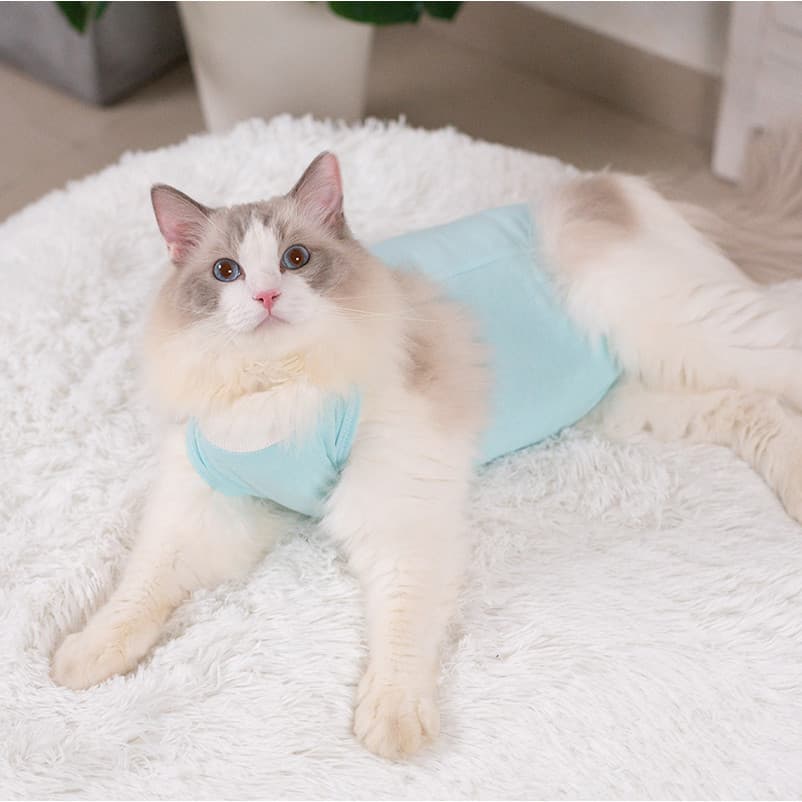 Roupas de esterilização para gatos Roupas cirúrgicas Roupas de desmame Novo estilo Roupas de Velcro Roupas para animais