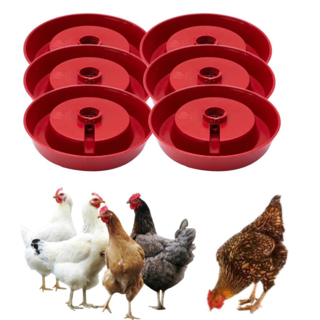Kit 6 Bases Bebedouro Ave Para Galinha Frango Pato Marreco Pintinho Franquinho Codornas Aves em Geral Galinheiro Granja
