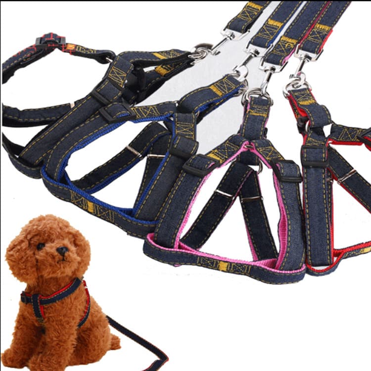 Coleira para animais de estimação, corrente para cães, Teddy Pug, Bichon, cinta peitoral, cervo, cachorro pequeno, Cowbo