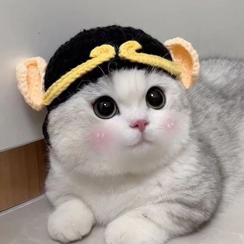 Chapéu de Inverno para Gato, Elástico, Fofo e Refinado, Chapéu de Tricô para Filhotes e Gatinhos, Acessório para Festa,