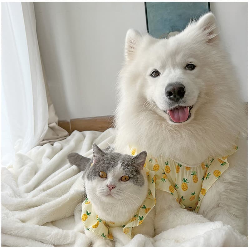 Verão Pequeno Abacaxi Cão Primavera E Outono Fino Samoyed Labrador Borda Collie Médio Grande Roupas Para Animais De Esti