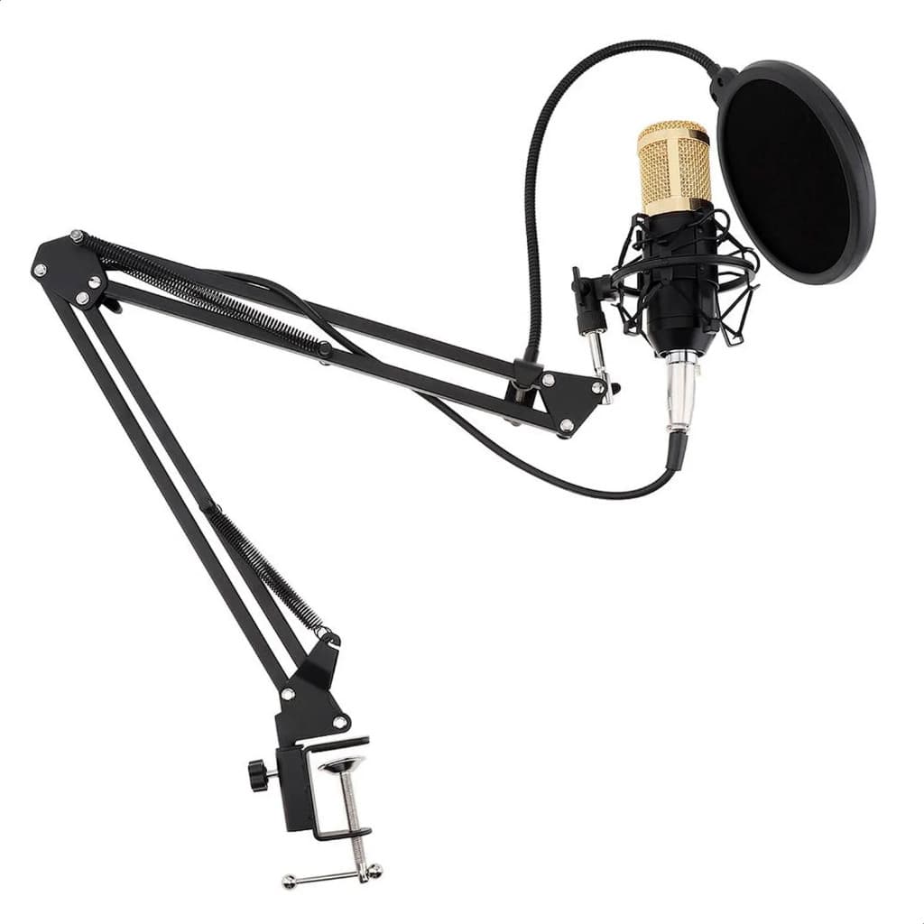Microfone Condensador Profissional Kit Completo Braço Articulado Pop Filter Estúdio Podcast Metal