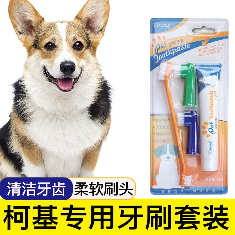 Corgi dedicado escova de dentes para cães conjunto de pasta de dentes para animais de estimação escovar suprimentos de l