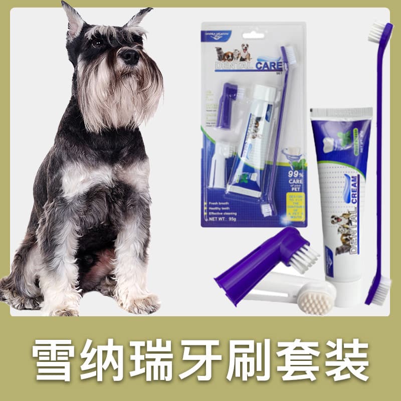 Schnauzer conjunto especial de escova de dentes filhote de cachorro Pet pasta de dentes escovar dentes utensílios suprim