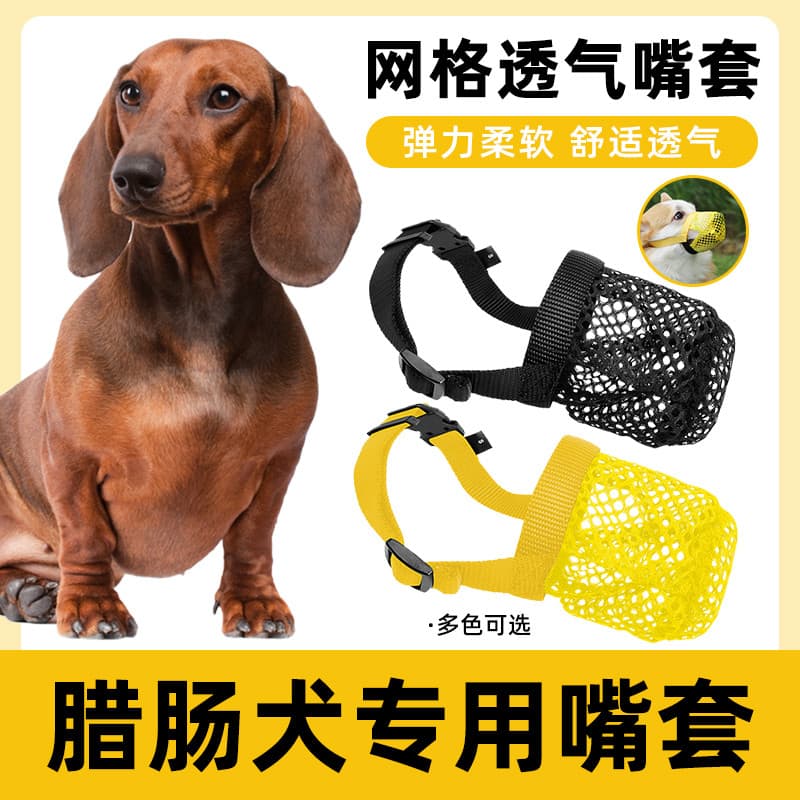 Dachshund dedicado boca capa cão anti-mordida latidos anti-comer aleatório lambendo parar de latir grande pequeno Pet má