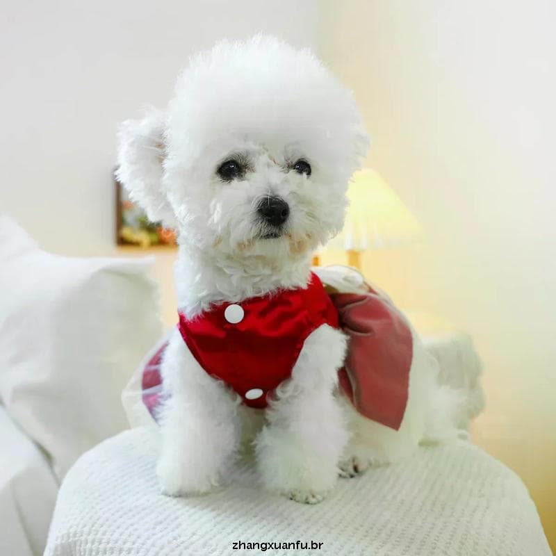 Vestido De Cachorro Gato Saia Delicada Noiva Para Aniversário De Casamento Shihtzu Gazue Tutu Feminina