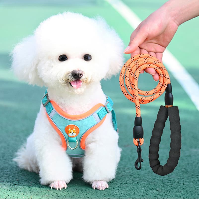 Coleira de cachorro tipo colete filhote de cachorro pequeno cinta peitoral Bichon Teddy Pomeranian cão andando trela fil