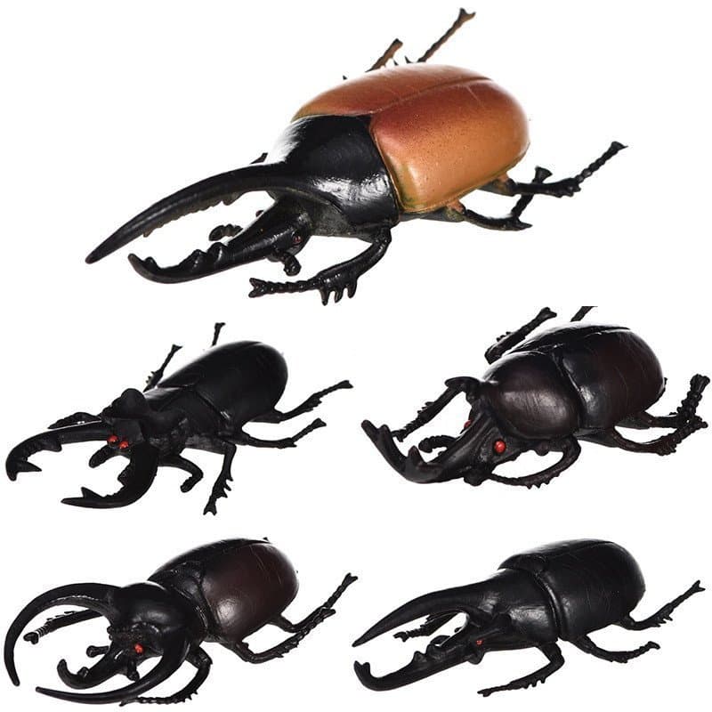 5 modelos de besouros simulados Besouro de plástico sólido brinquedo de inseto de unicórnio brinquedo infantil