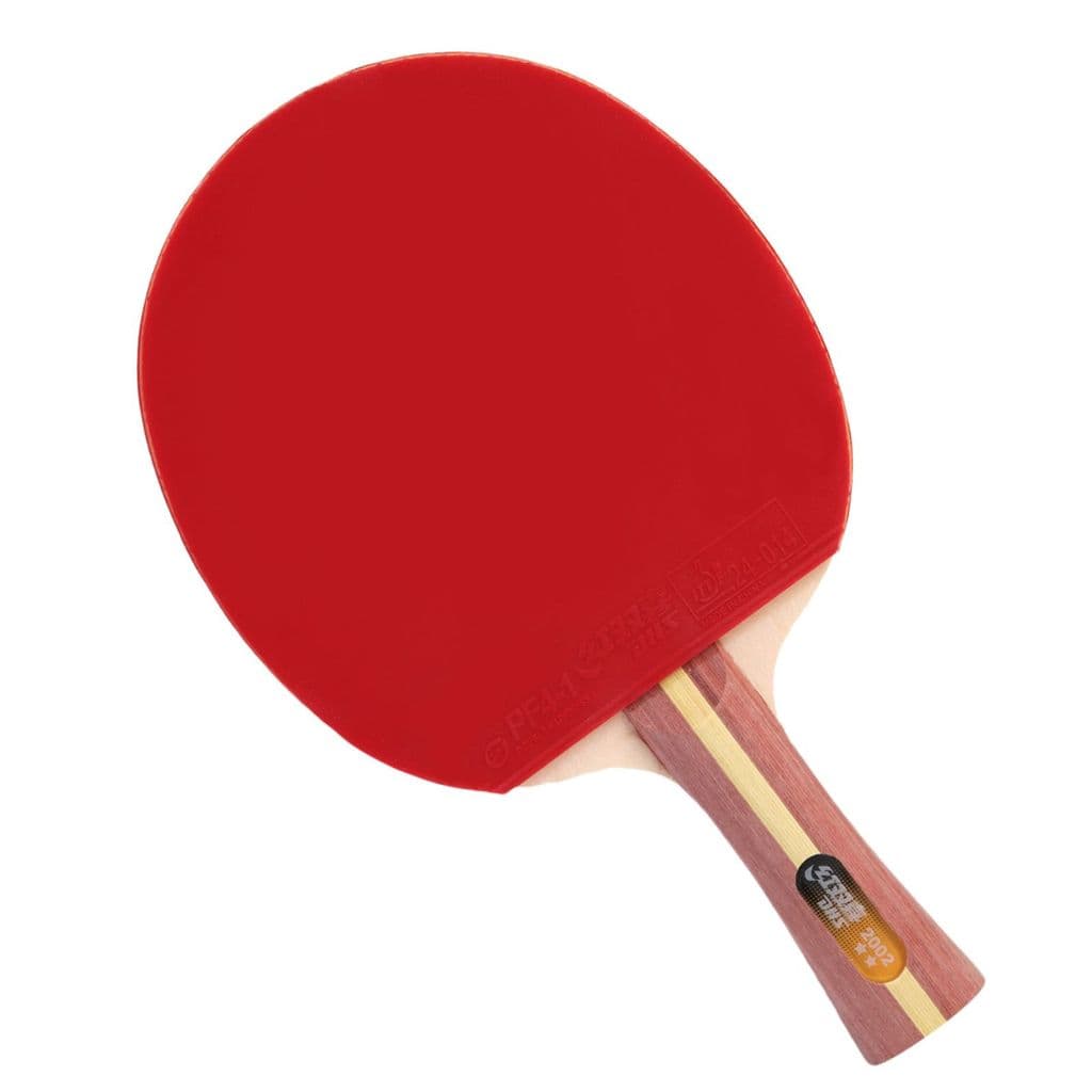 Raquete de Ping Pong Clássica 2002 com Capa - DHS