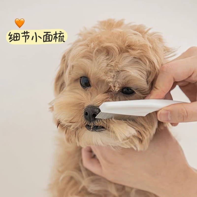 Pet gato cão Mini boca pente de cabelo dente fino pequena fileira pente rosto arrumado barbear limpo Facial pequeno cão
