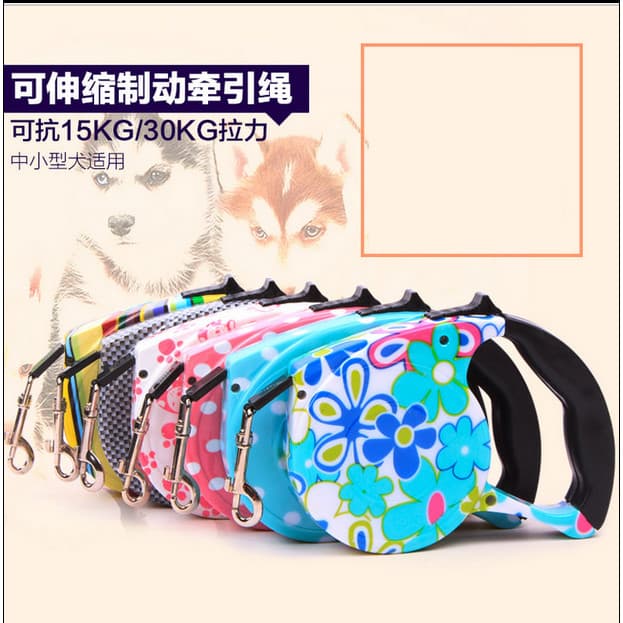 Coleira para cães, suprimentos para animais de estimação, coleira automática de 5m, corda plana, trela para cães