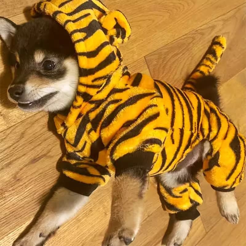 Roupas para cães engraçado tigre transformação roupas outono inverno quente roupas de quatro patas Shiba Inu Teddy Pet g