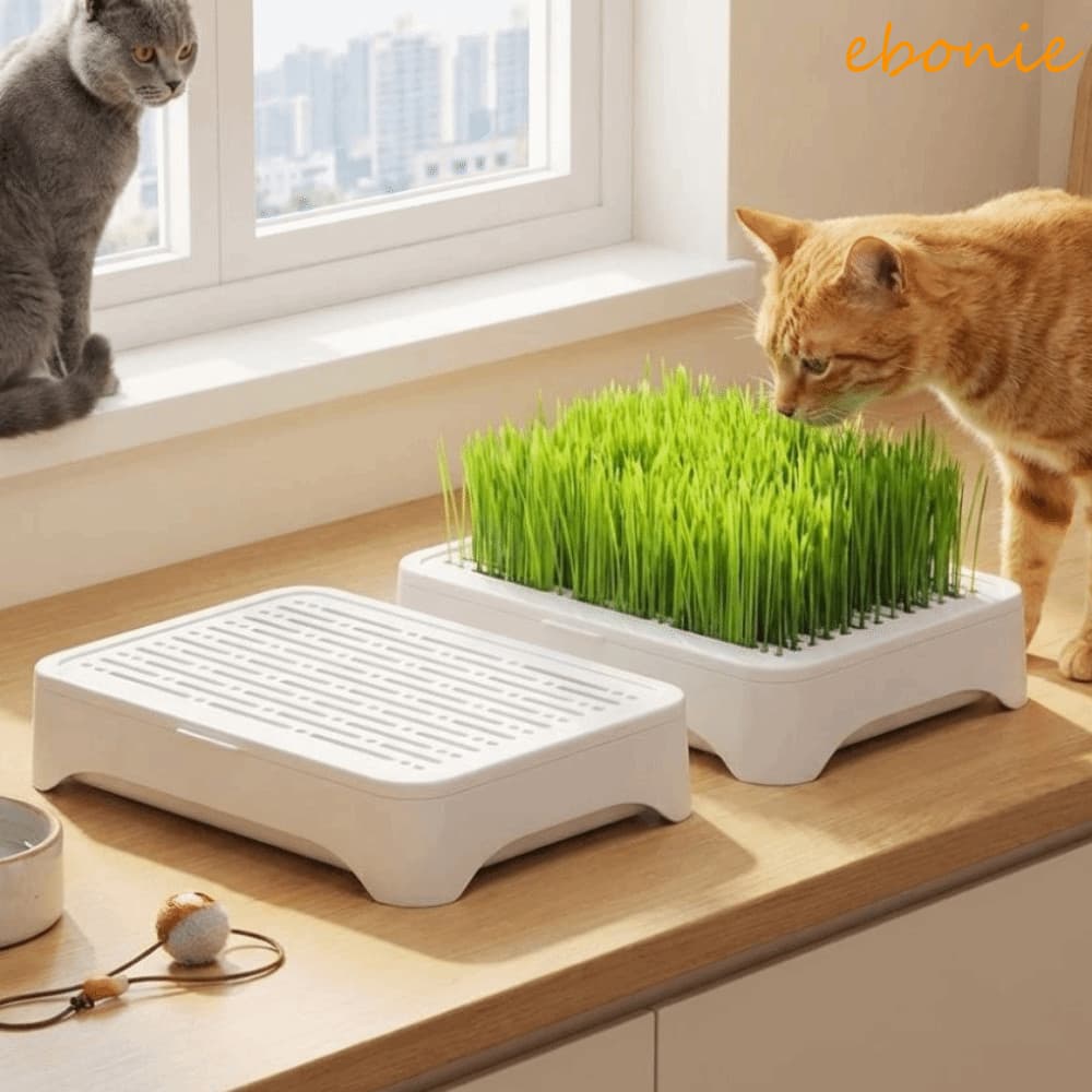 Plantador De Grama Para Gatos EBONIE , Bandeja Hidropônica De Plástico Anti-Retirada , Vaso De Cultivo , Caixa De Berçár