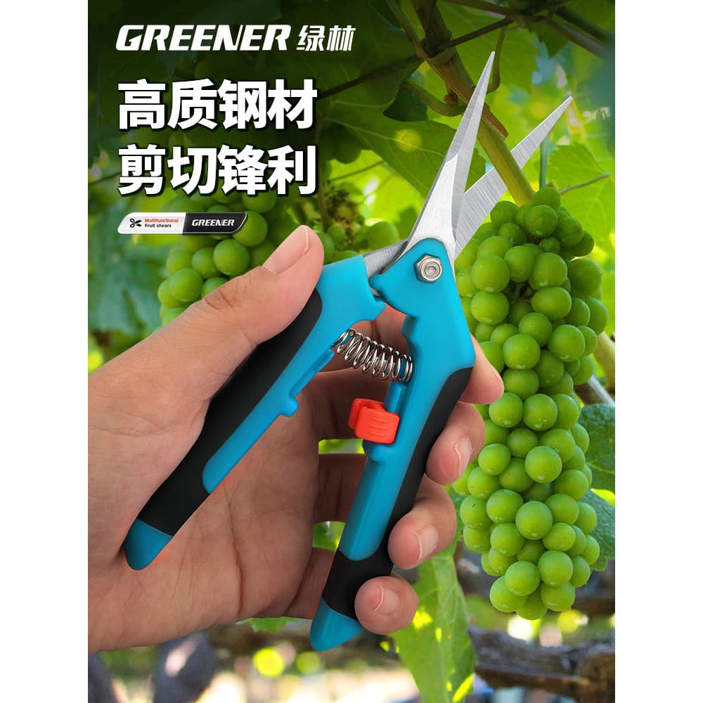 Tesoura de colheita de frutas de uva de floresta verde Tesoura de poda de aço inoxidável Tesoura de jardinagem Tesoura d