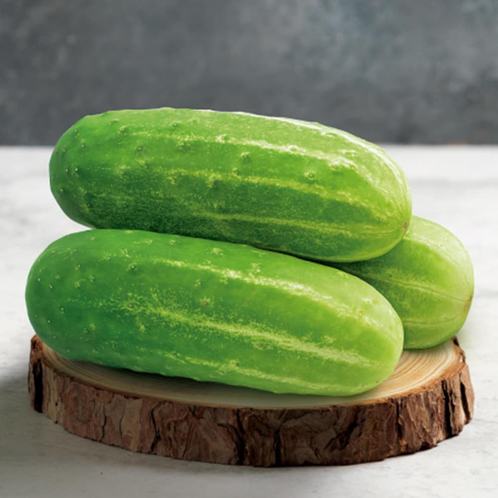 Sementes de Pepino Caipira 1000pcs Alta Germinação Fácil de Plantar para Horta Jardim Produção Rápida