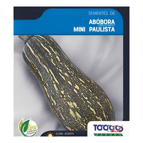 1500 Sementes De Abobora Mini Paulista Para Plantio