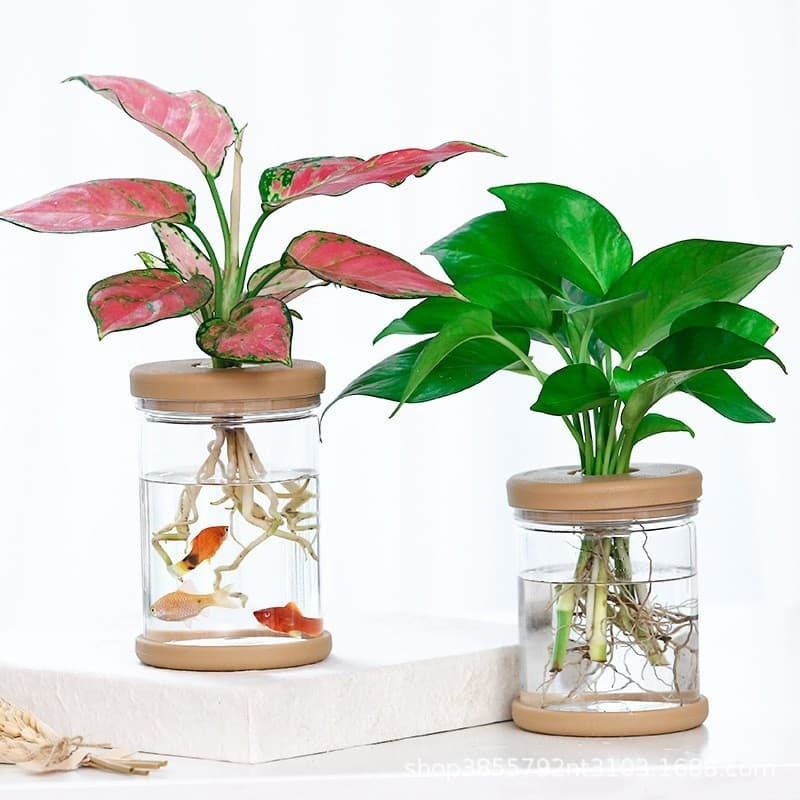 Vaso De Flores Hidropônico Geométrico Transparente-Plantador De Vidro De Cristal Para Pequenas Suculentas E Bonsai , Dec