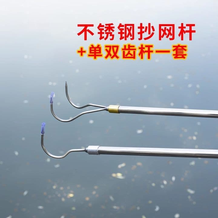 Gancho de grama de água para pesca de peixes Vara de rede de mergulho de aço inoxidável com gancho duplo Ancinho de ganc