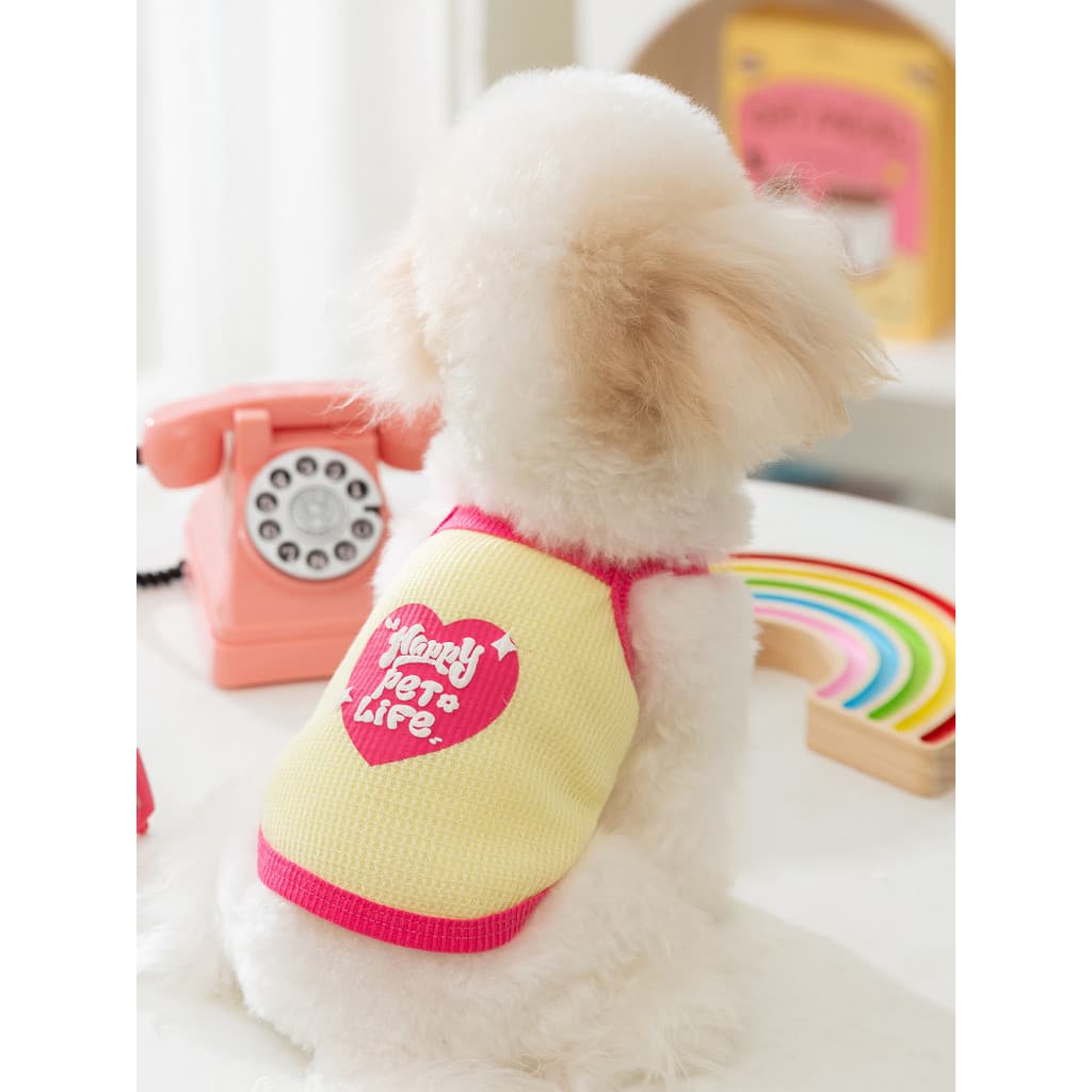 Filhote de cachorro roupas para cães verão fino Waffle colete Bichon Teddy Yorkshire pequeno cão Schnauzer gato